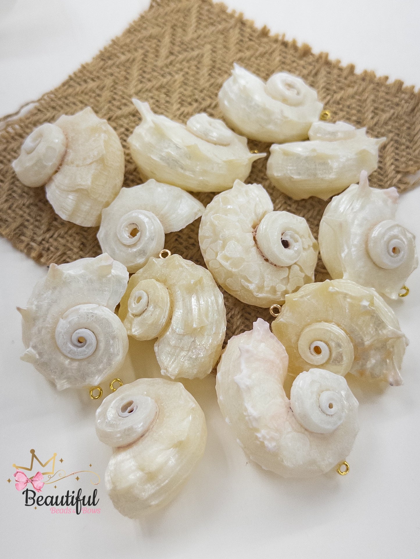 Shell Pendant 1pc